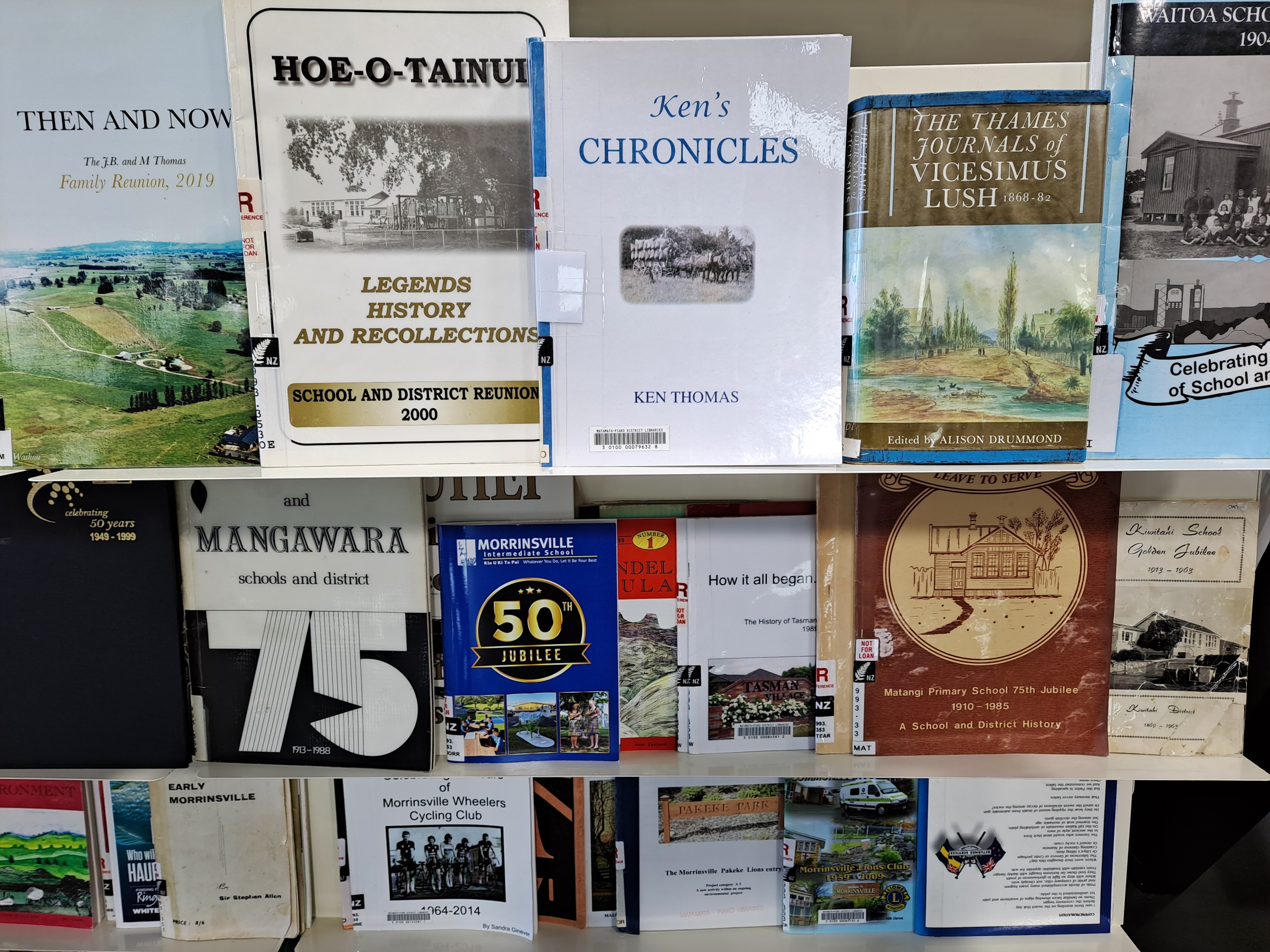 A photo of history books on a display shelf